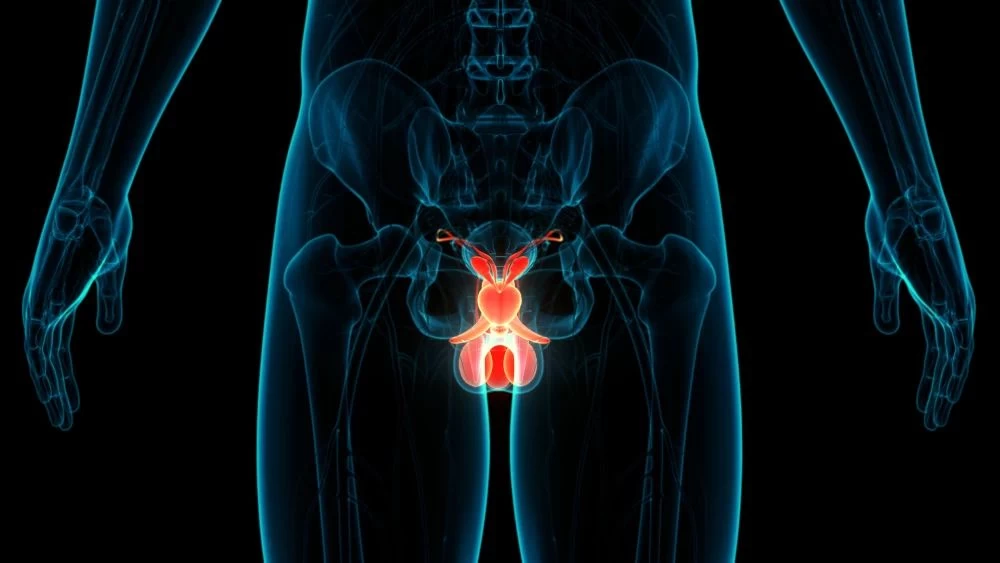 Can the Presence of Sperm in the Testis Be Predicted Before Micro-TESE?